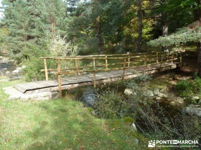 Parque Natural Sierra de Cebollera (Los Cameros) - Acebal Garagüeta;rutas excursiones tiendas de mo